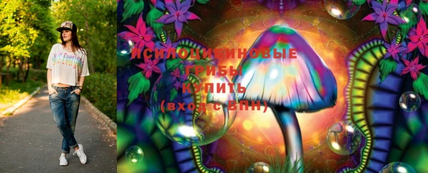 PSILOCYBIN Бугульма